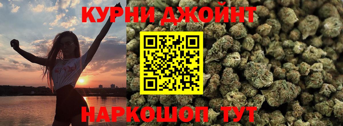 Марихуана марихуана  Бошки Шишки SATIVA & INDICA  Вход с VPN  Камышин  Бошки марихуана план 